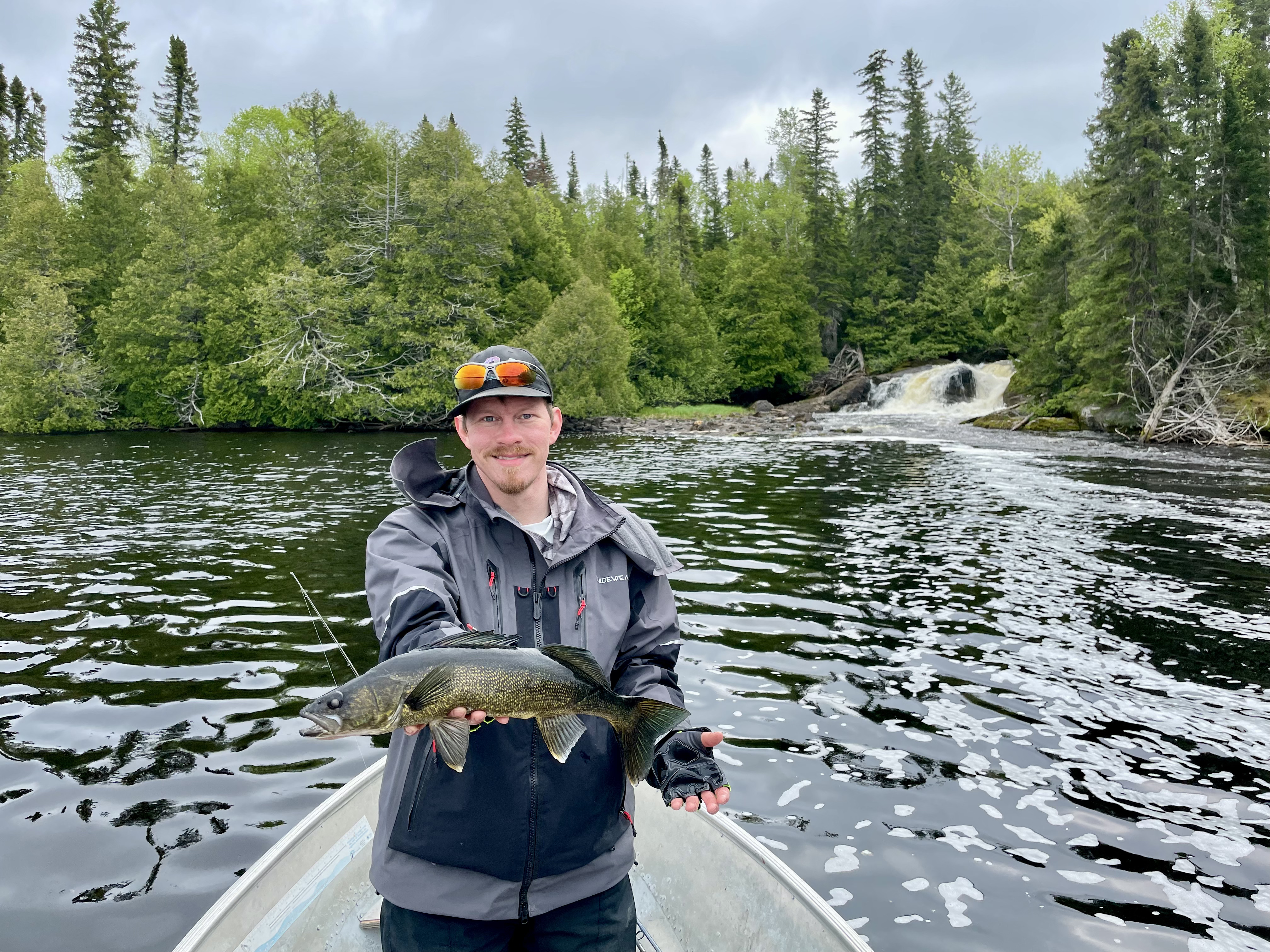 Fisherman in a boat holding a walleye with a waterfall and dense forest in the background.