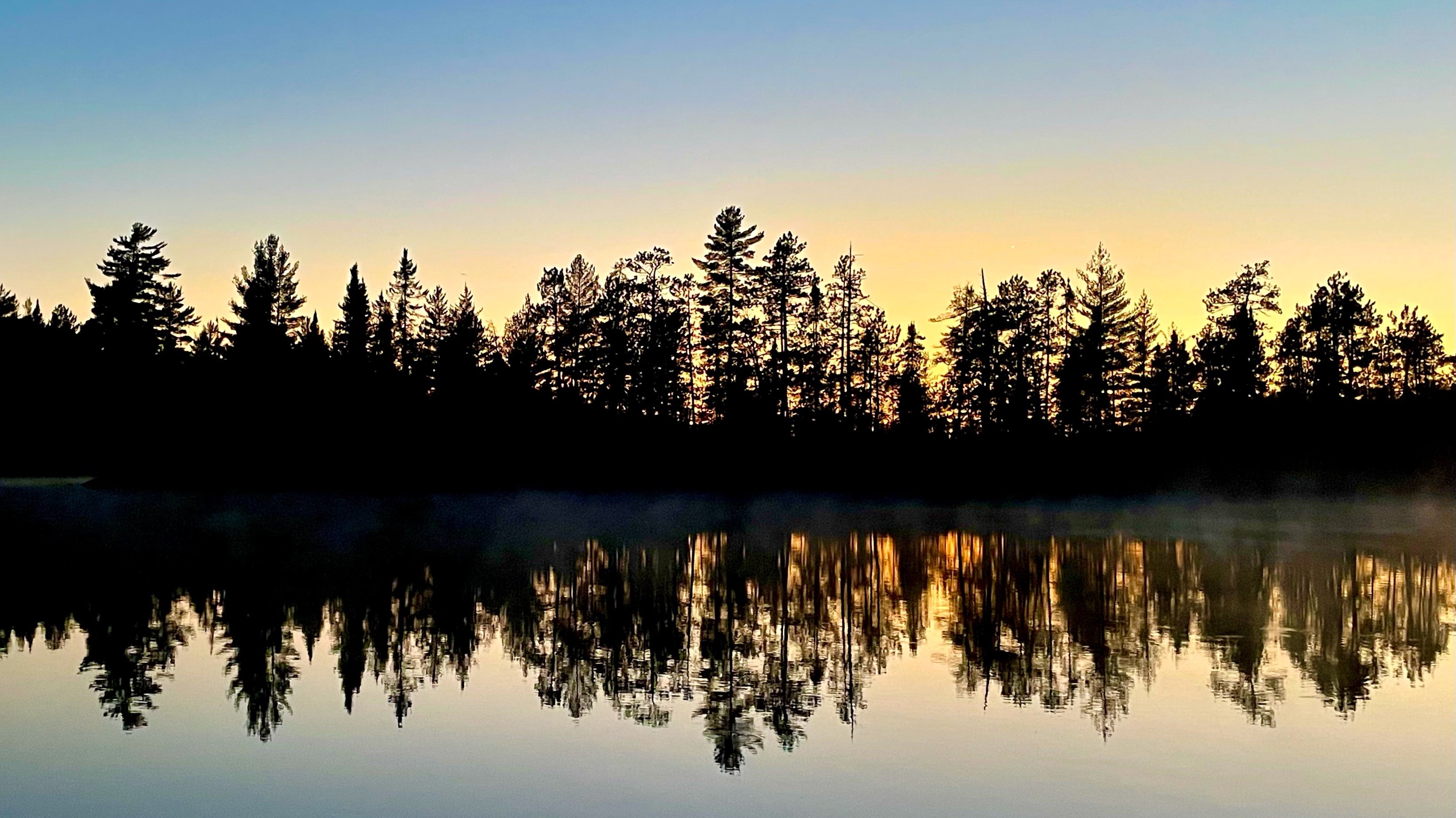 Silhouette of evergreen trees reflected in a calm lake at sunrise.