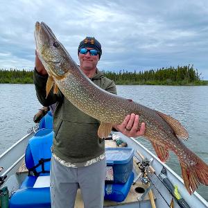 A fisherman in a boat holding a giant Northern Pike caught in a remote Canadian lake.
