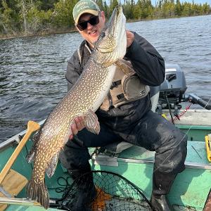Fisherman in a boat holding a massive Northern Pike vertically, with a scenic lake and pine forest in the background.