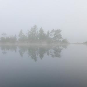 A small pine-covered island reflected in perfectly still water, shrouded in thick morning fog.