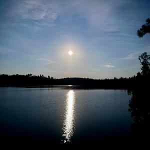 Full moon reflecting on a calm lake at night with silhouetted trees in the foreground and background.