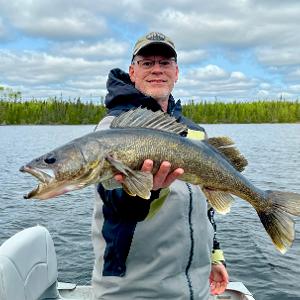 A smiling fisherman in a boat holding a large, golden walleye against a backdrop of a boreal forest and cloudy sky.