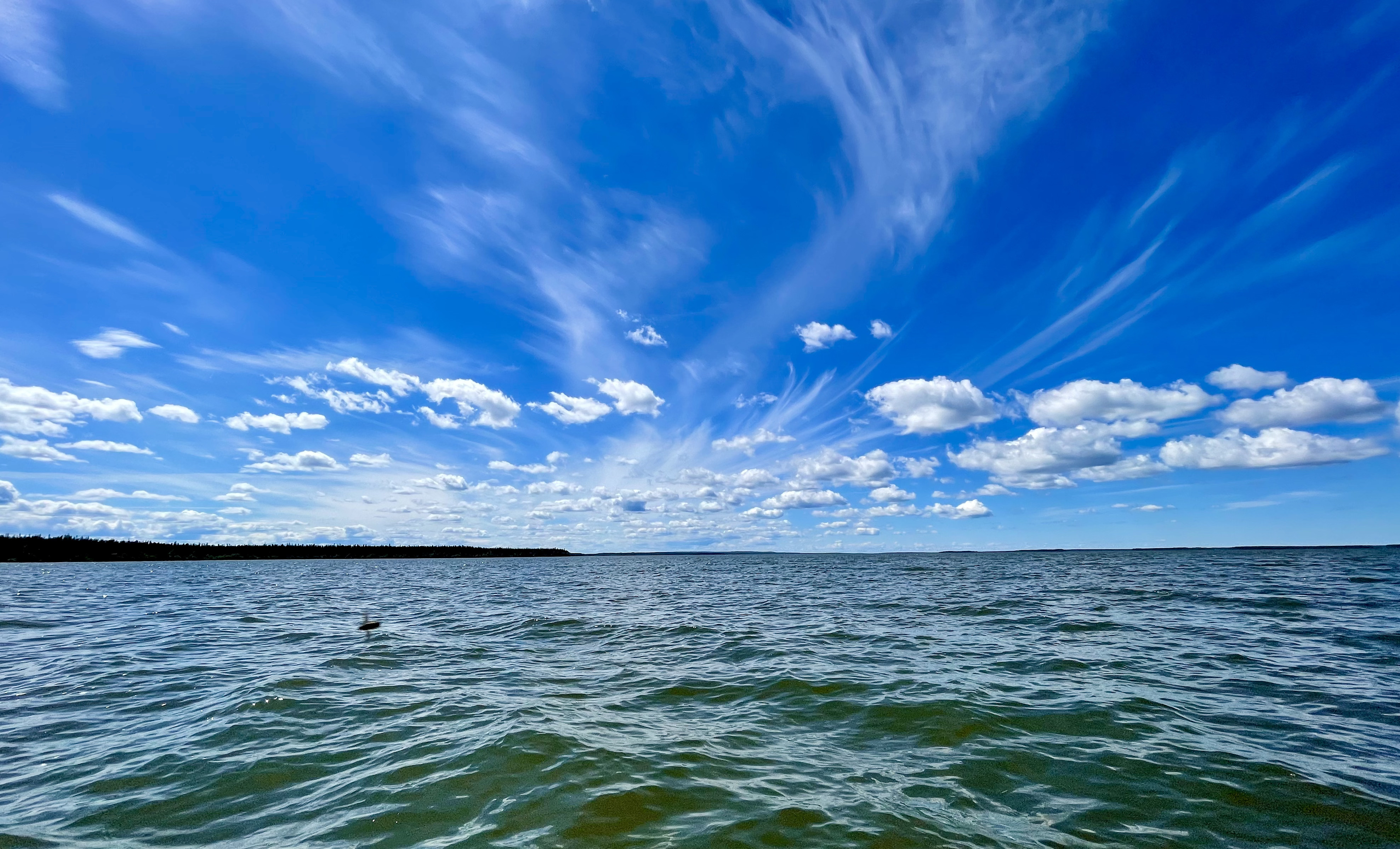 A vast blue lake under a dramatic sky with wispy white clouds and a distant treeline.